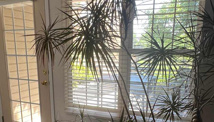 Barb's room