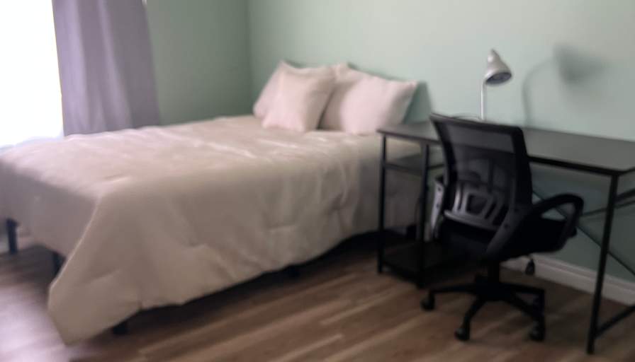 Soli's room