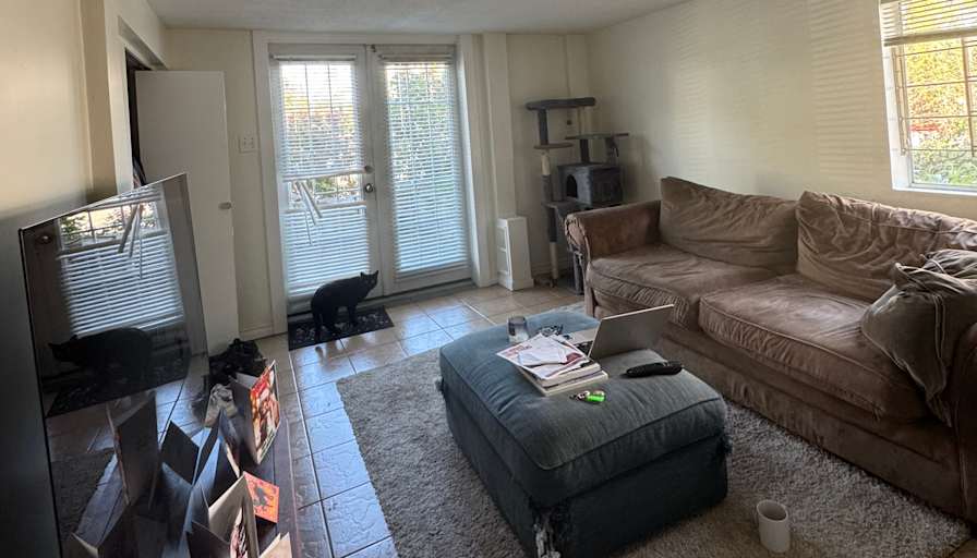 Clare-Alana's room