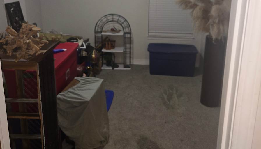 ryan's room