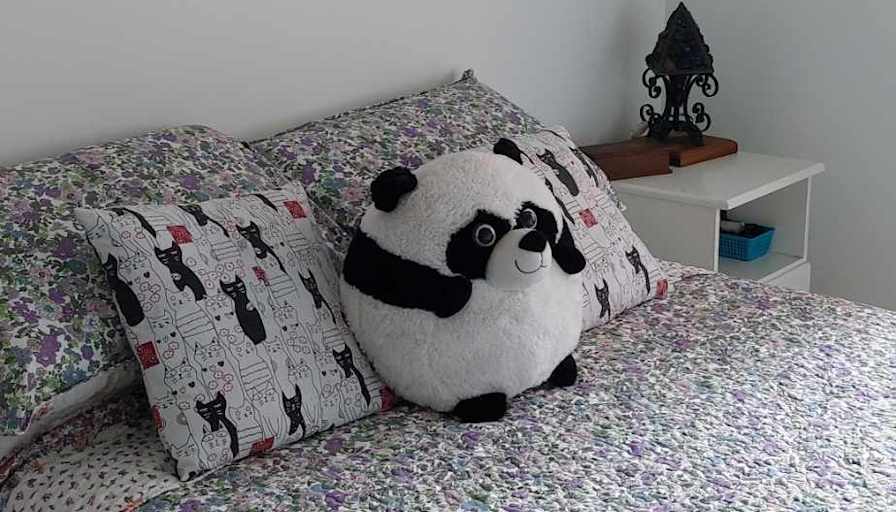 Rosy Thomas's room