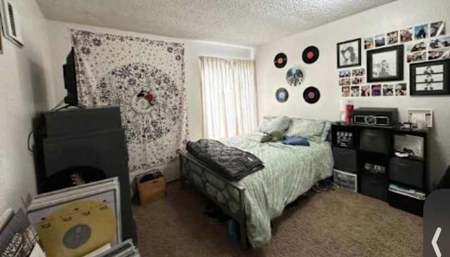 Lily's room