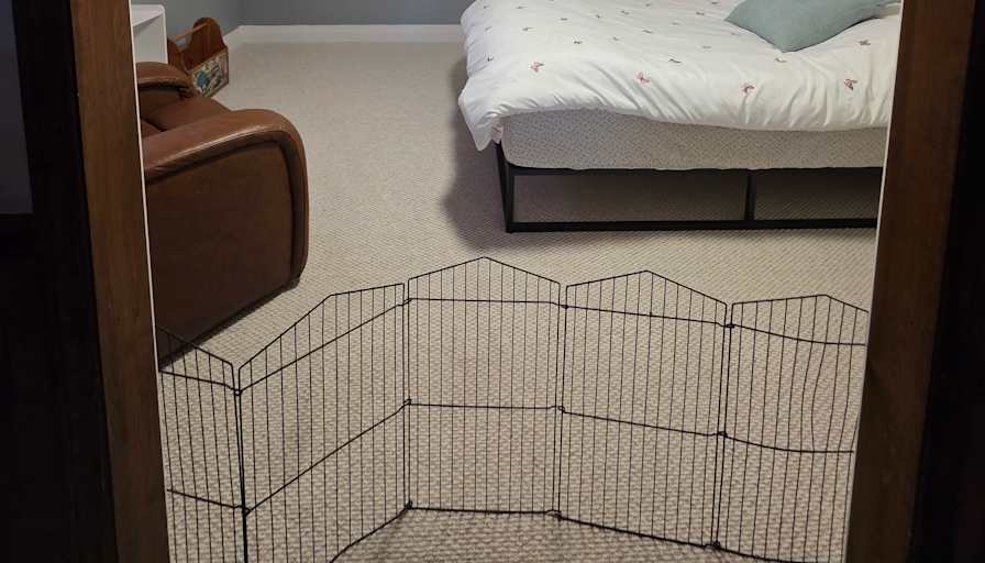 Gizella Geisler's room