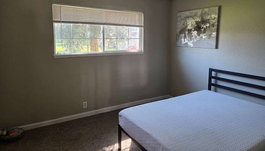 Robert's room