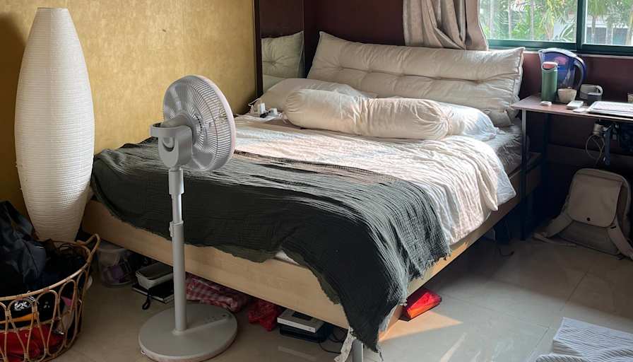 Efa's room