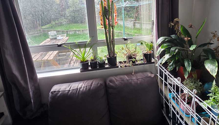 Liam's room