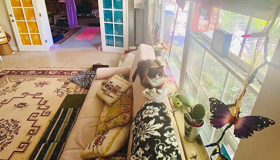 Mayara's room