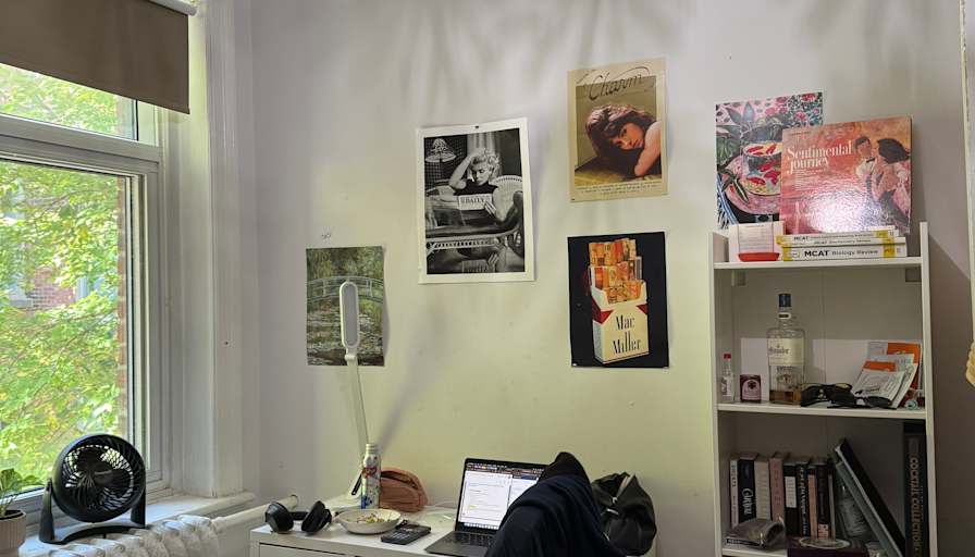 Sophie Liang's room