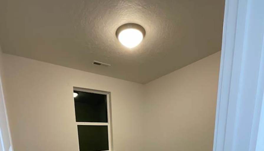 Lou's room