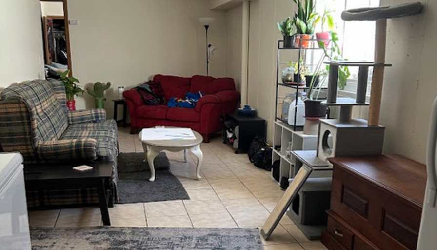 Sophia Sutton's room