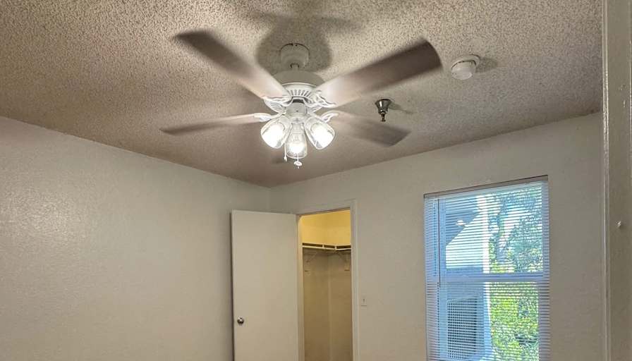 Vero's room