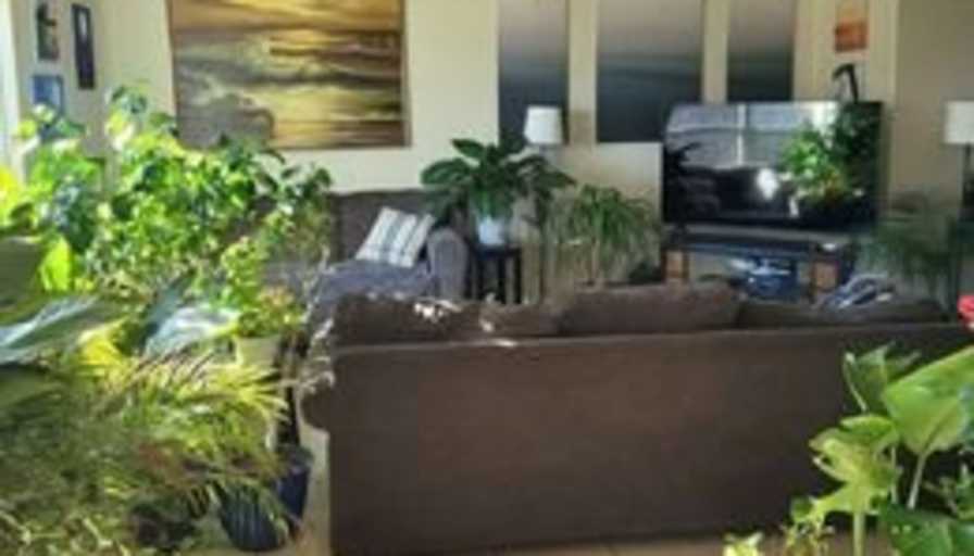 Trent's room