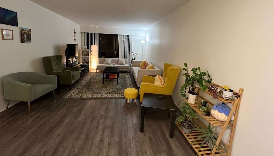 Sedi's room