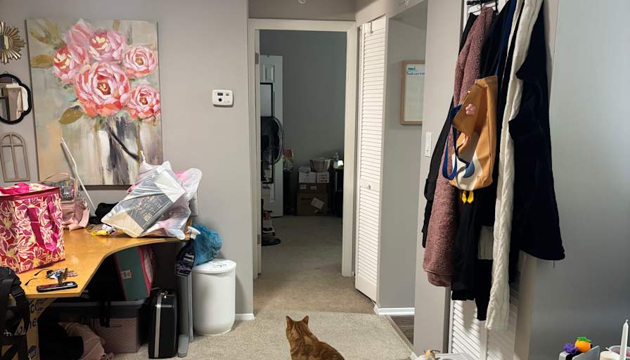 Jasmine's room