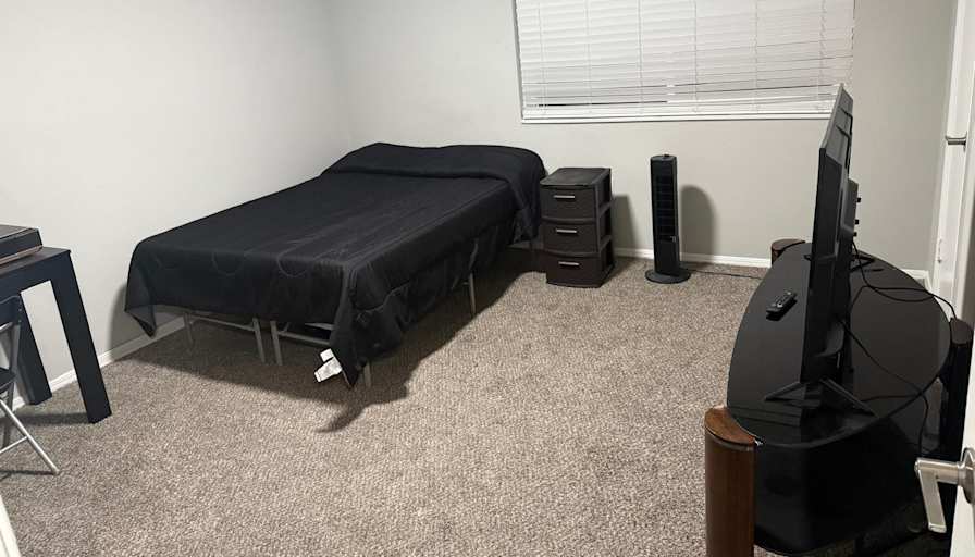 Sofia's room