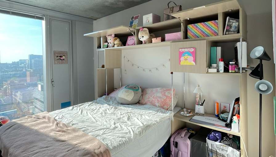 ani's room