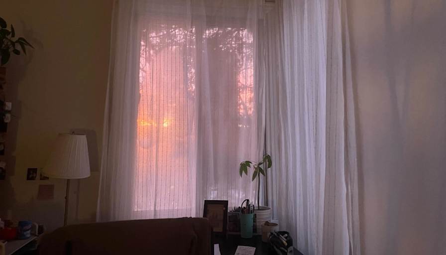 Joss's room
