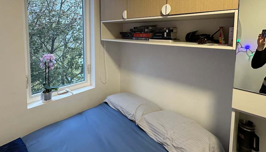 Halle's room