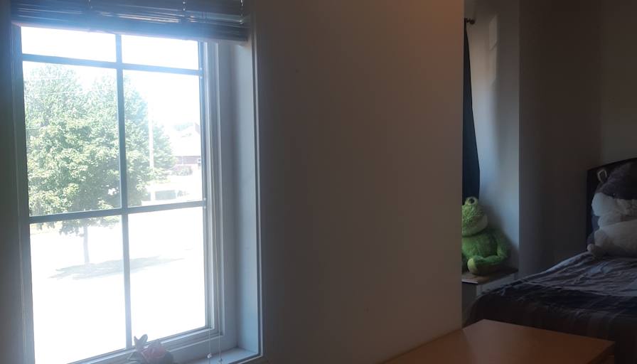 Lily's room