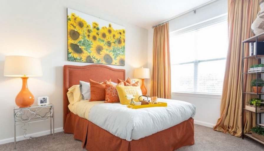 Donna's room