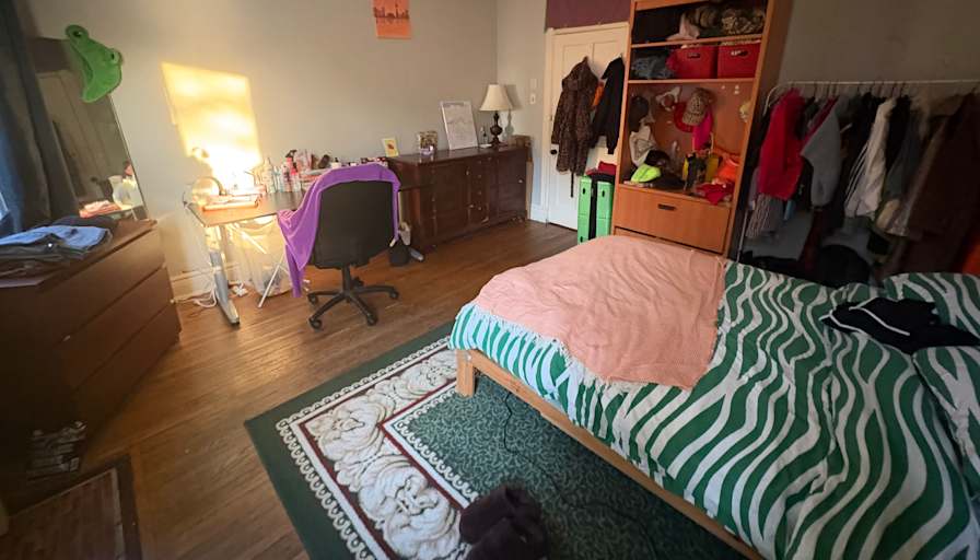 Dani's room