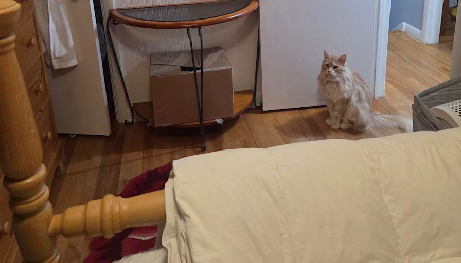 Mary-Sue Hart's room