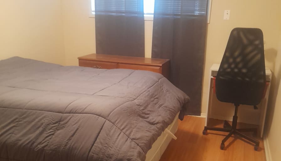 Gizzmo's room