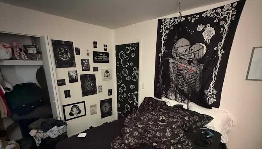Amy's room