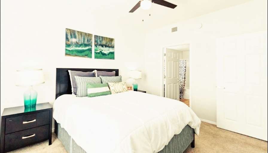 Ray's room