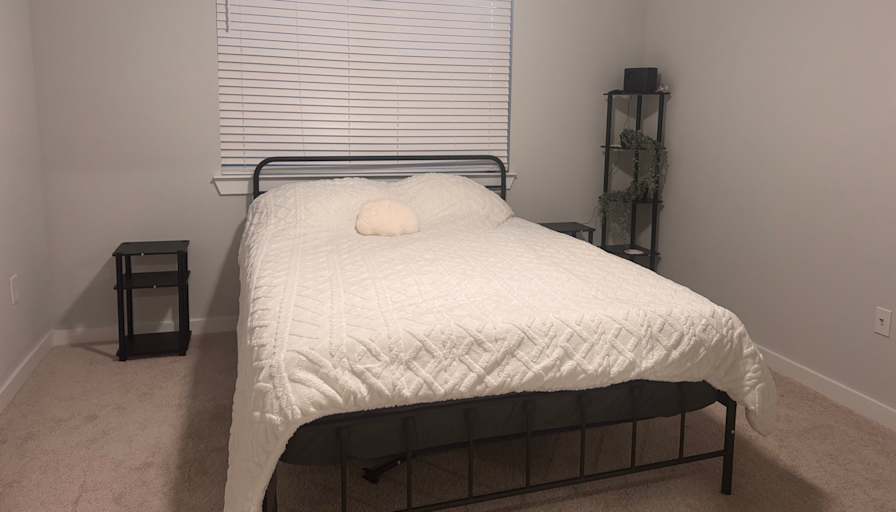 Willow's room