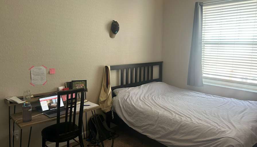 siebe's room