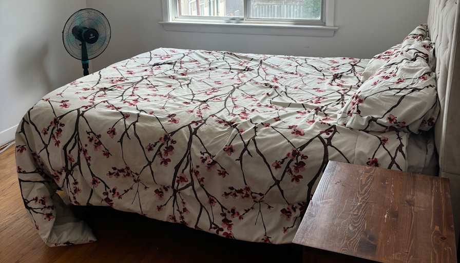 Elizabeth's room
