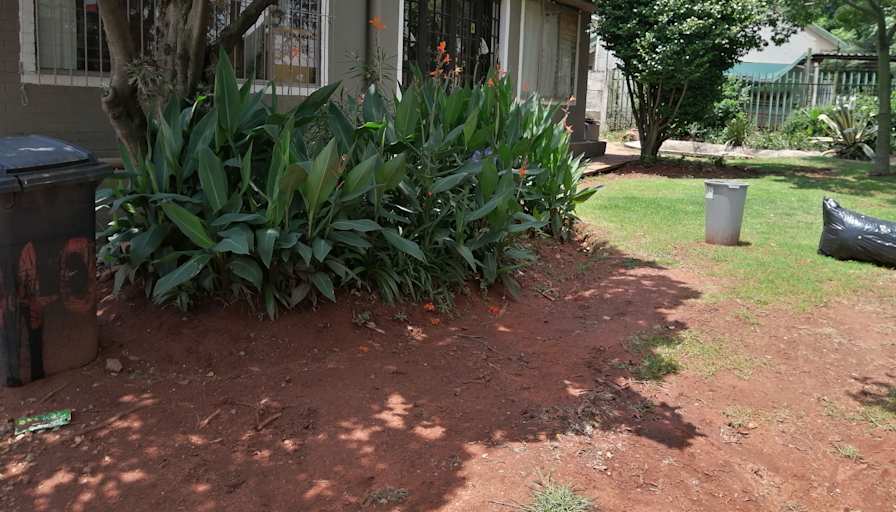 VENESSA MOMBERG's room