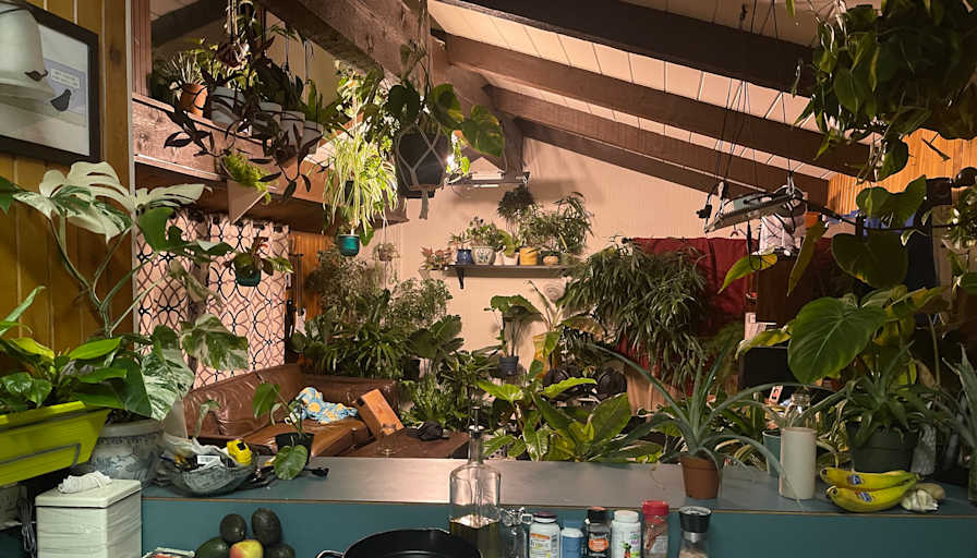 Colin's room