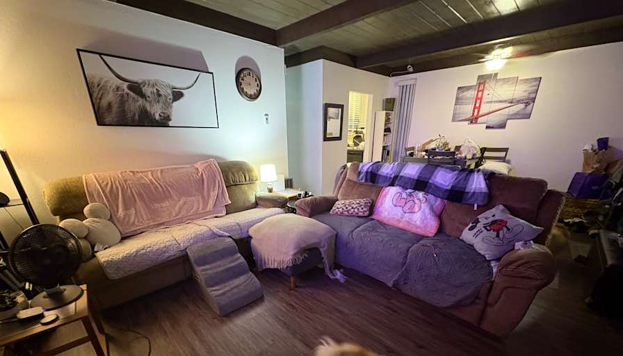 Liz's room