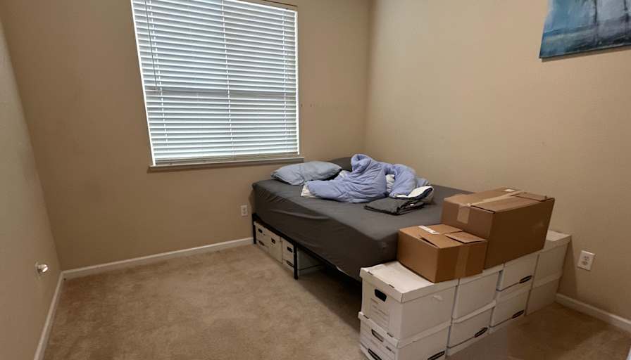Alaina's room