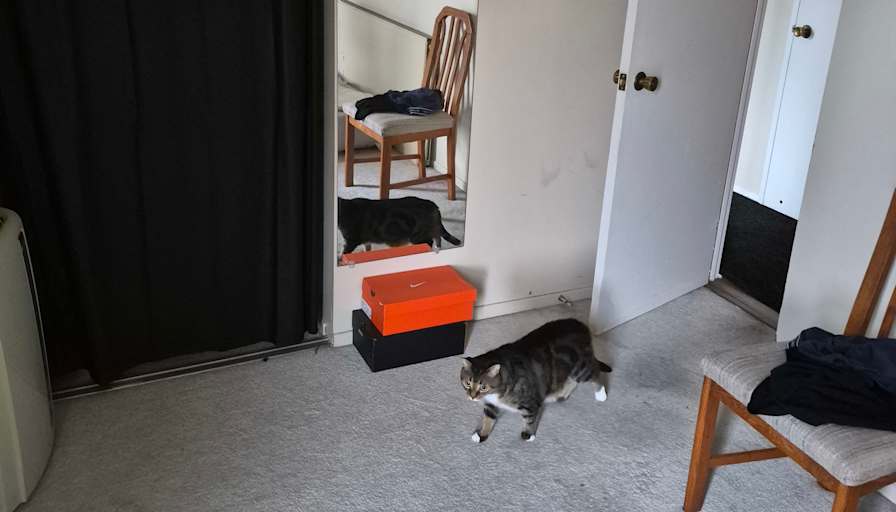 Julia's room