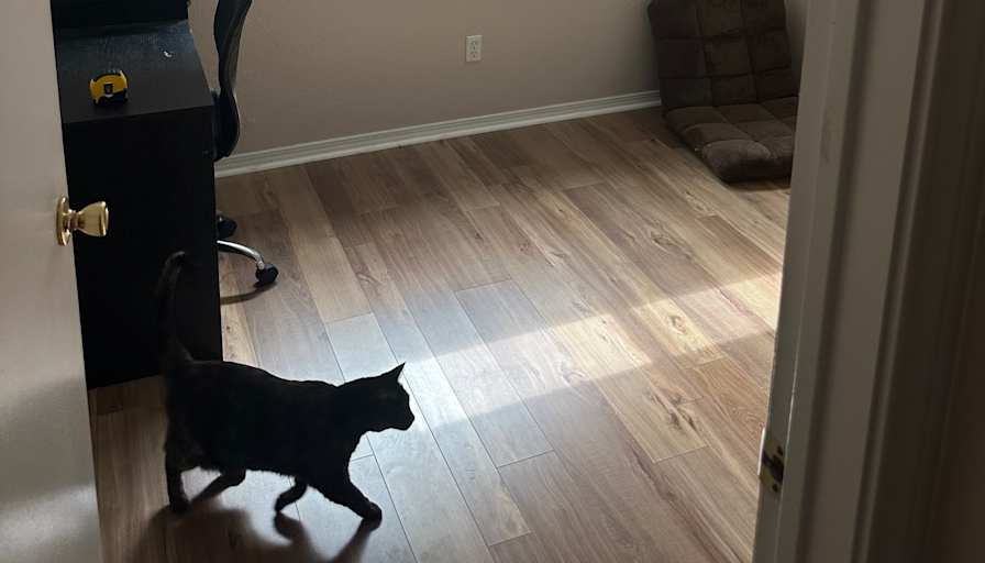 Jackson's room