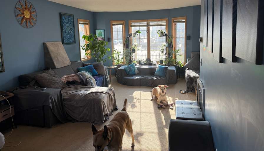 LouisLoup's room