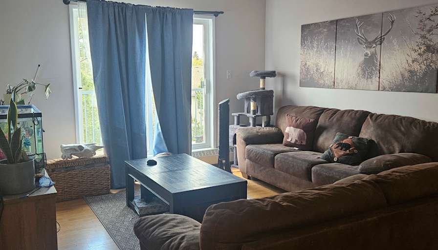 Beanca van Nieuwholtz's room