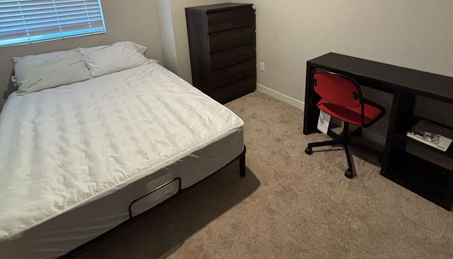 Tomas's room