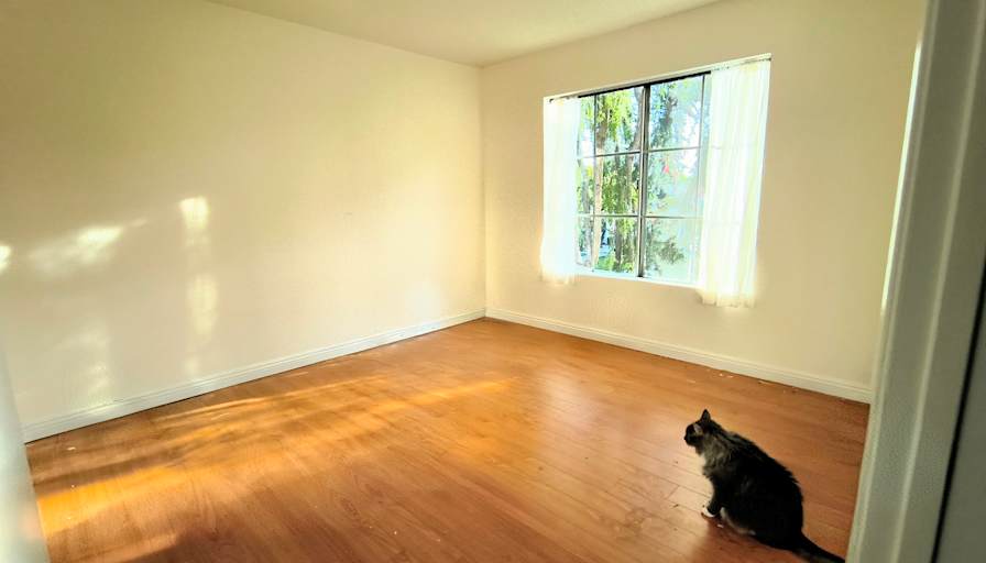 Elias's room