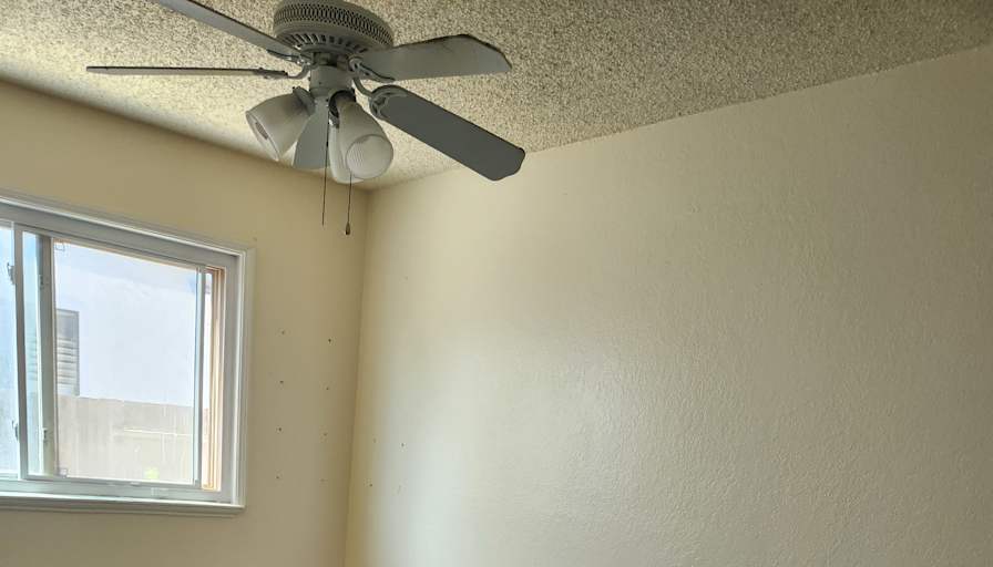 Kisha Gonsalves's room