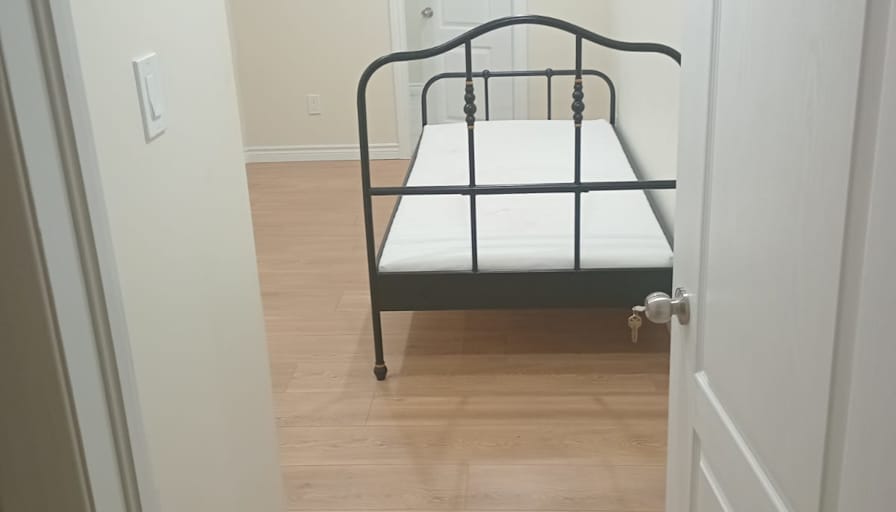 Shaheen's room