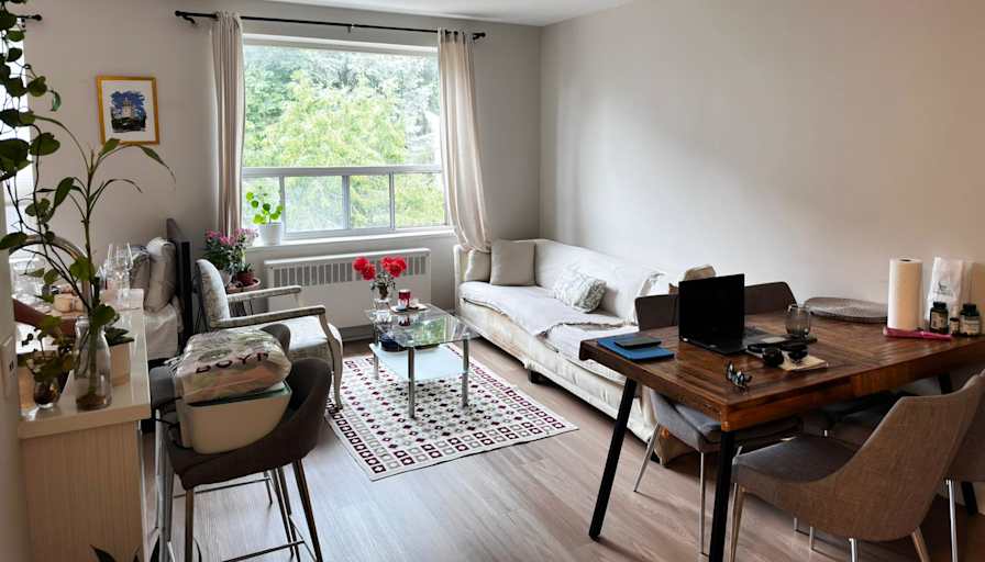 suzin's room