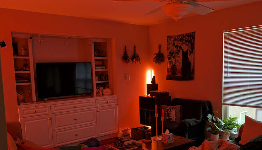 Bailey's room