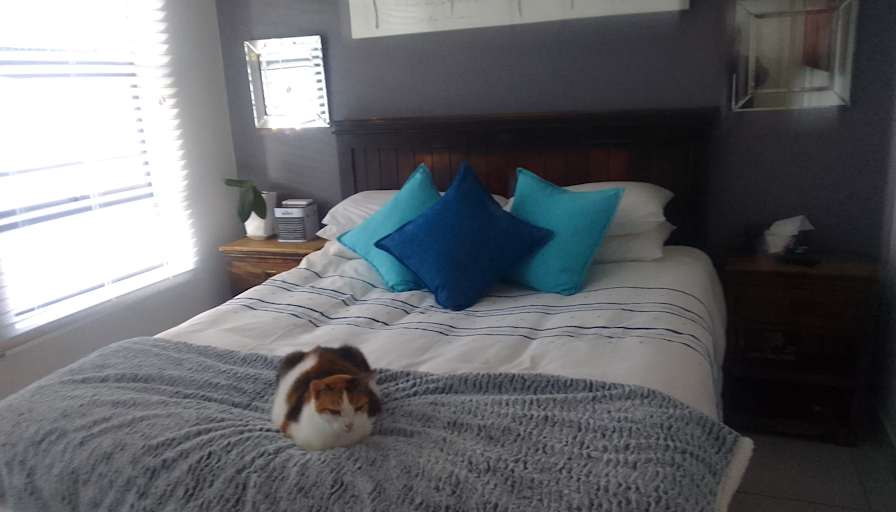 Debbie Mocke's room