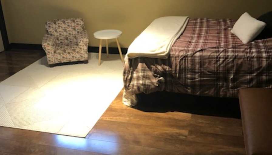 Lisa's room
