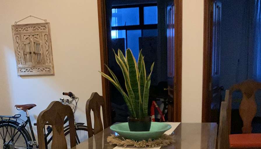 Nicole's room