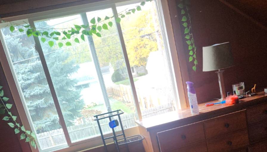 Marie's room